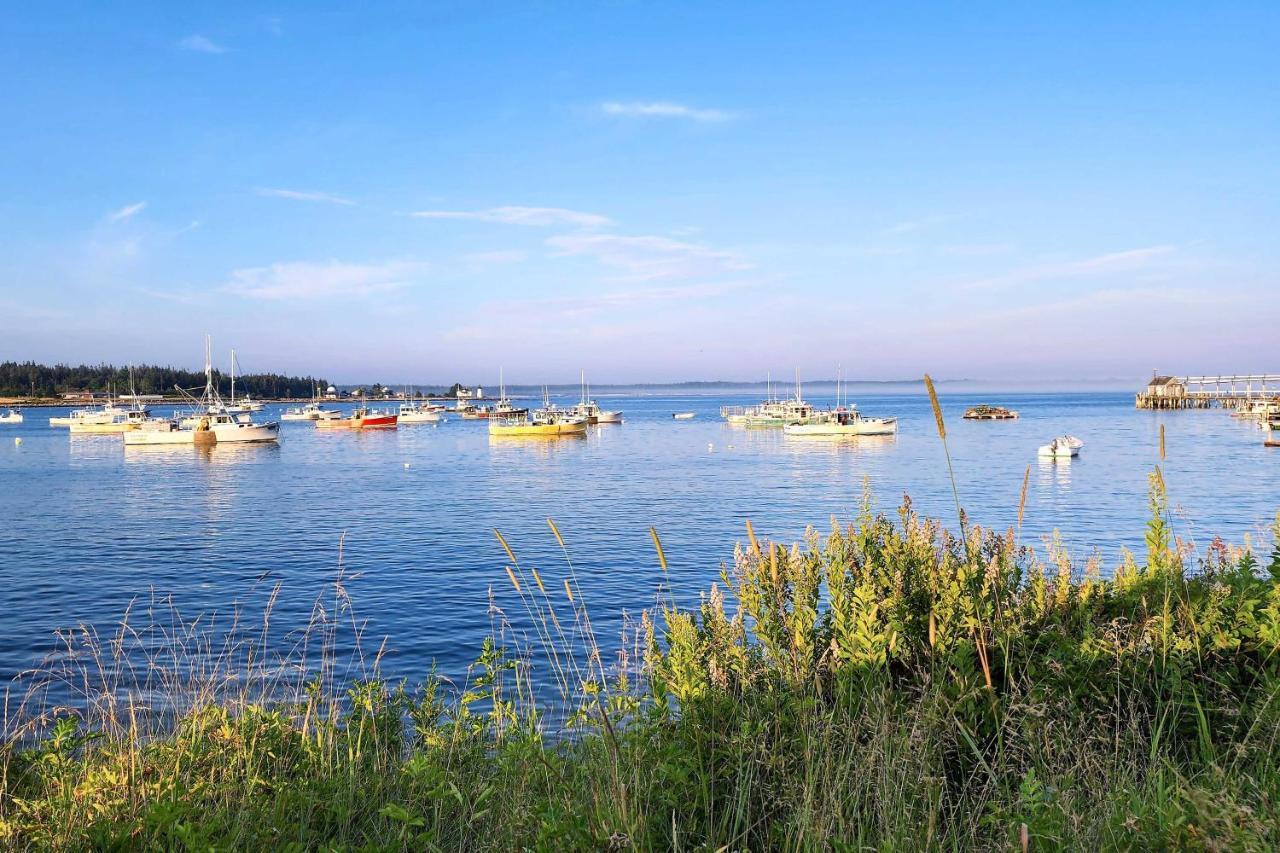Hidden Gem Cottage Near Blue Hill Peninsula Brooklin エクステリア 写真