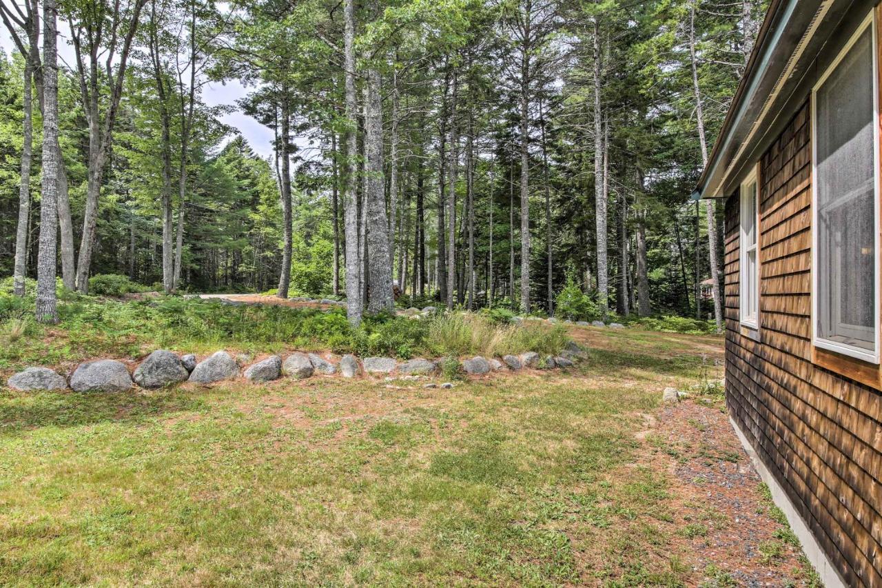 Hidden Gem Cottage Near Blue Hill Peninsula Brooklin エクステリア 写真