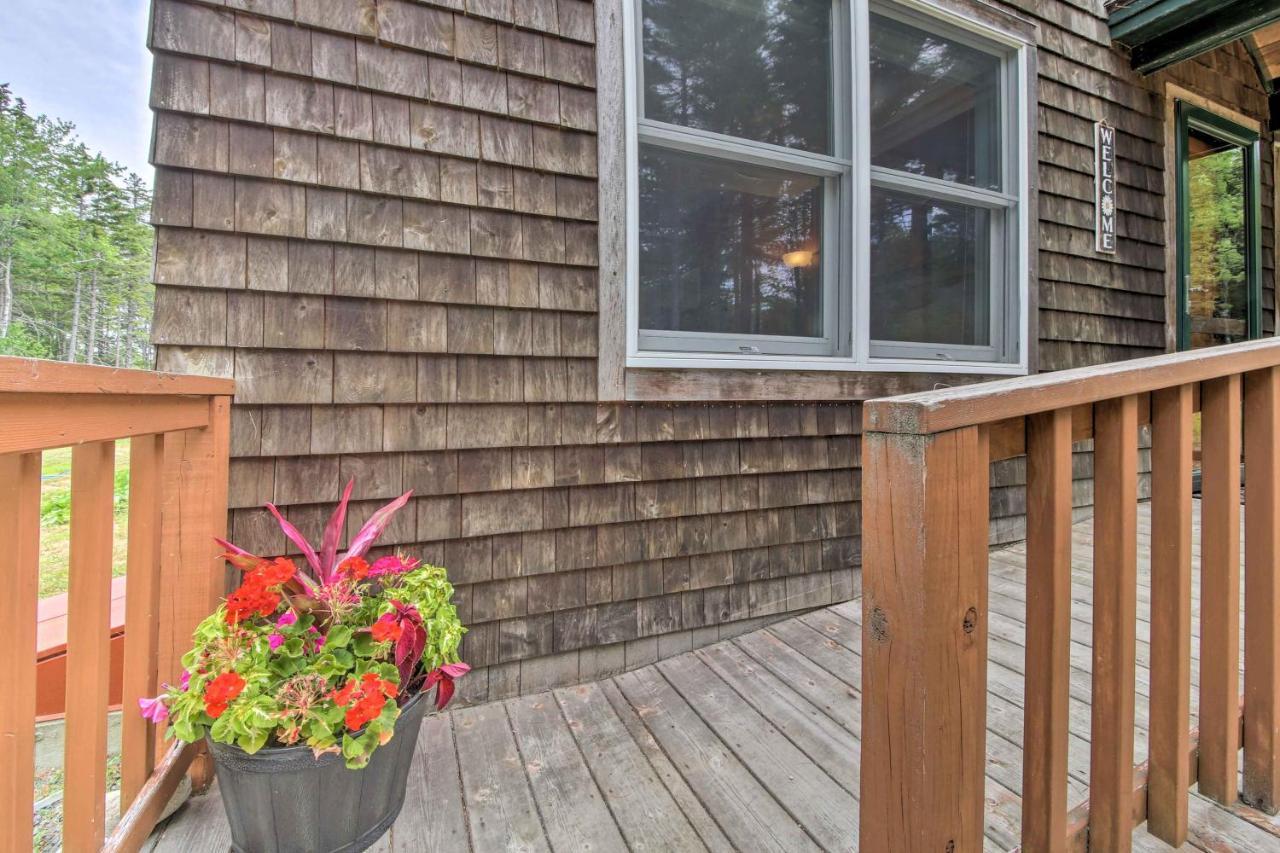 Hidden Gem Cottage Near Blue Hill Peninsula Brooklin エクステリア 写真